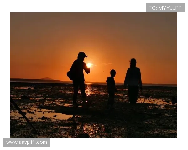 圣淘沙娱乐:家庭亲子游的理想选择与精彩活动推荐 圣淘沙娱乐:家庭亲子游的理想选择与精彩活动推荐